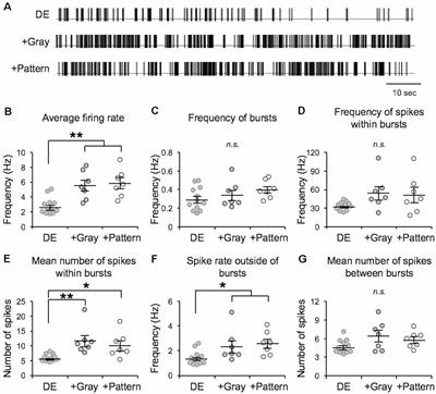 Naturalistic Spike Trains Drive State-Dependent Homeostatic Plasticity in Superficial Layers of Visual Cortex